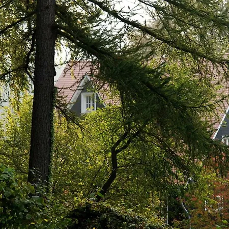 Sonnenschein アパート